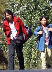 天天插日日射